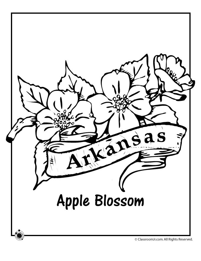 680x880 Arkansas Coloring Pages