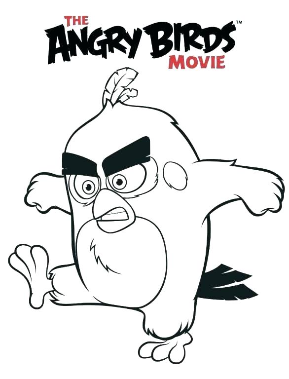 Angry Bird Coloring Pages Free Free Printable Bird Coloring Pages 586x768 Angry Bird Coloring Pages Free Free Printable Bird Coloring Pages