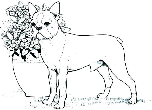 Sparky Coloring Pages