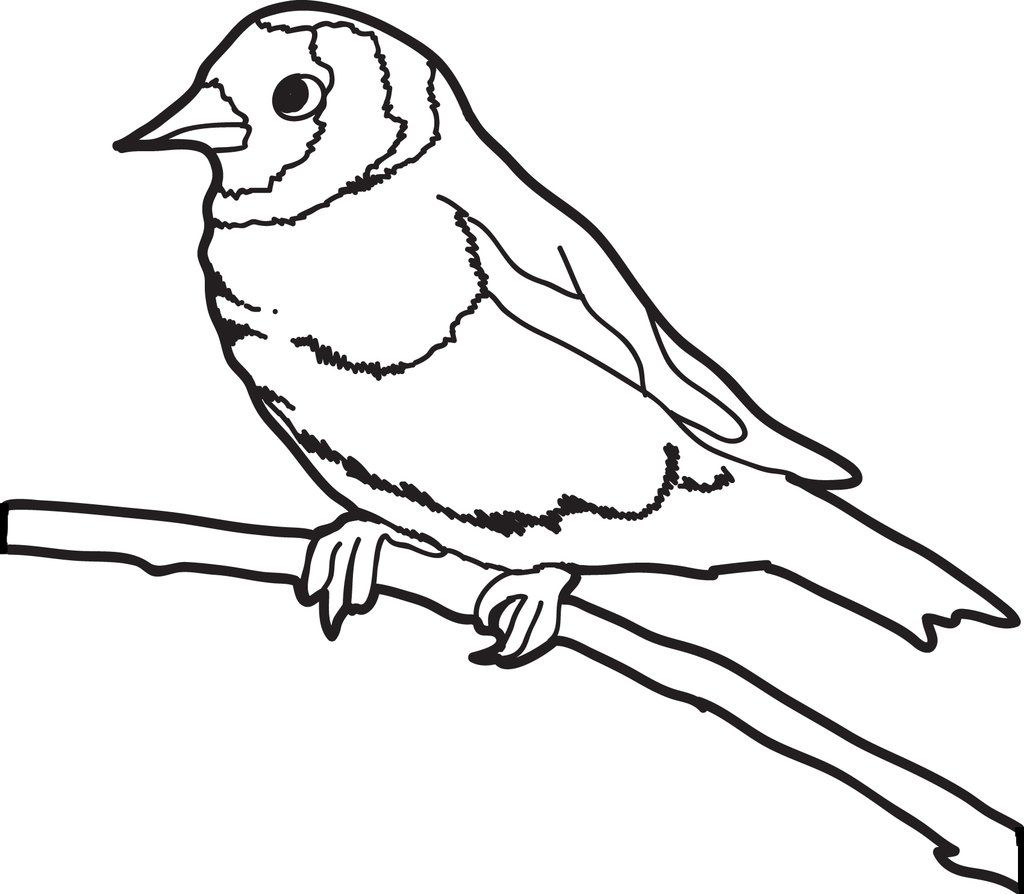 Sparrow Coloring Page at GetColorings.com | Free printable colorings ...