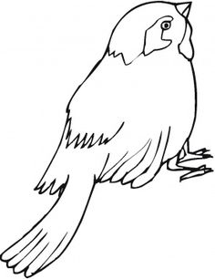 236x306 Sparrow Coloring Page Aria