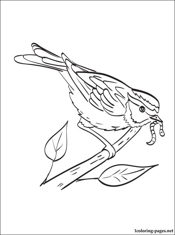 560x750 Sparrow Coloring Page For Kids Coloring Pages