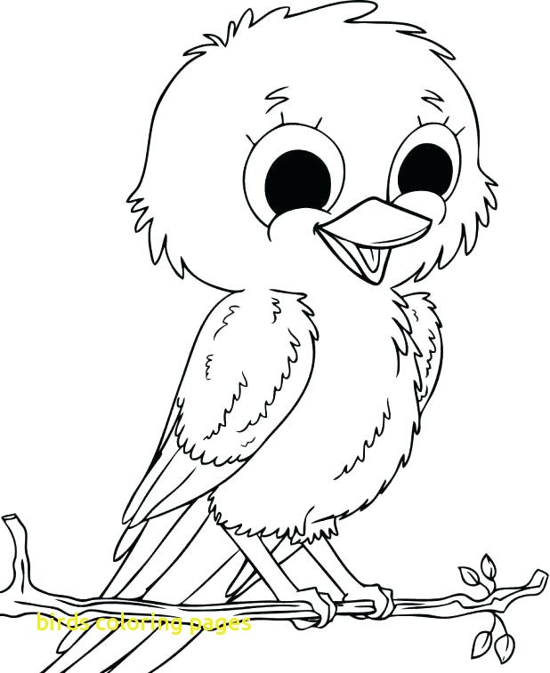 618x757 Birds Coloring Pages With Sparrow Coloring Page Baby Sparrow Birds