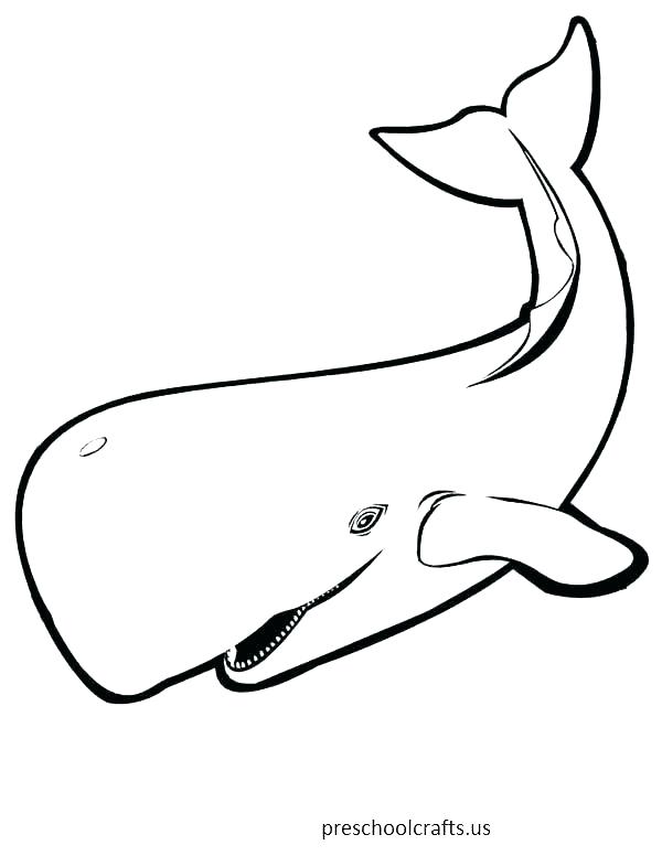 Printable Whale Coloring Pages For Kids Killer Whale Coloring 600x776 Printable Whale Coloring Pages For Kids Killer Whale Coloring