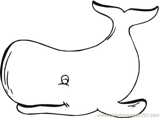 Whale Coloring Page Killer Whale Coloring Pages Killer Whale 550x407 Whale Coloring Page Killer Whale Coloring Pages Killer Whale