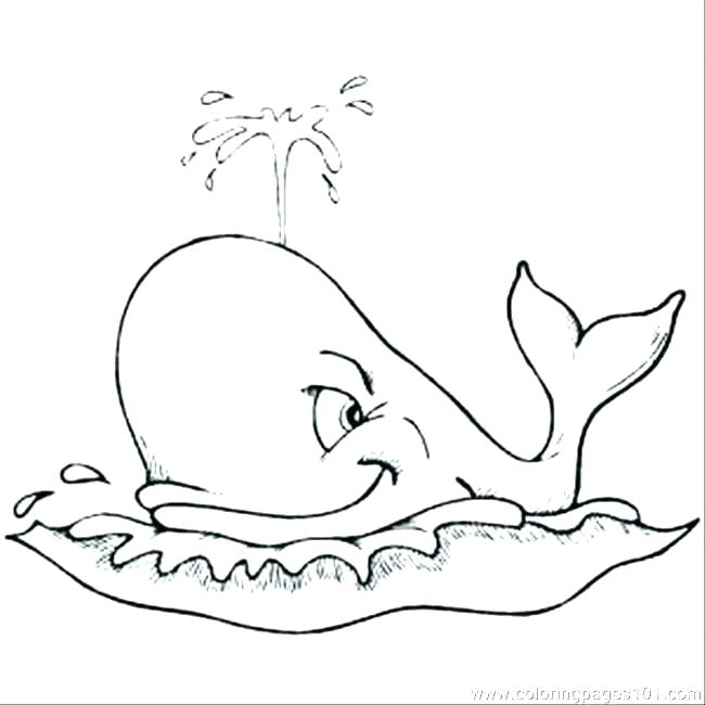 Sperm Whale Coloring Page at GetColorings.com | Free printable ...