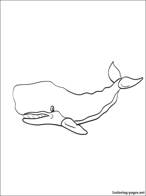 Sperm Whale Coloring Page at GetColorings.com | Free printable ...