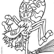 Spider Coloring Pages 220x220 Spider Coloring Pages