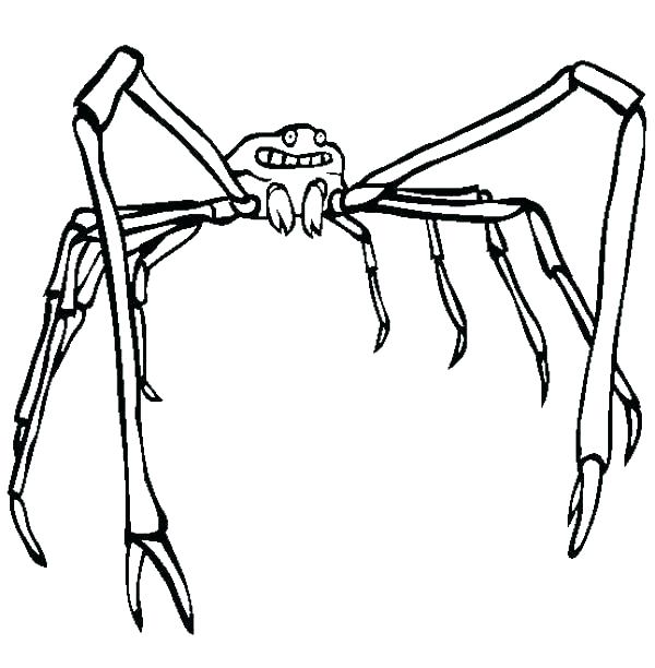 Spider Color Page Spiders Coloring Pages Spider Color Page Spider 600x612 Spider Color Page Spiders Coloring Pages Spider Color Page Spider