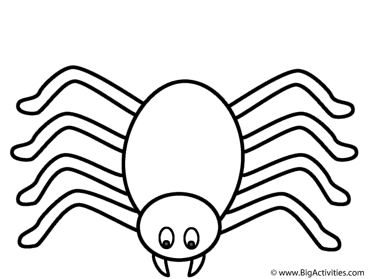Spider Coloring Page 738x560 Spider Coloring Page
