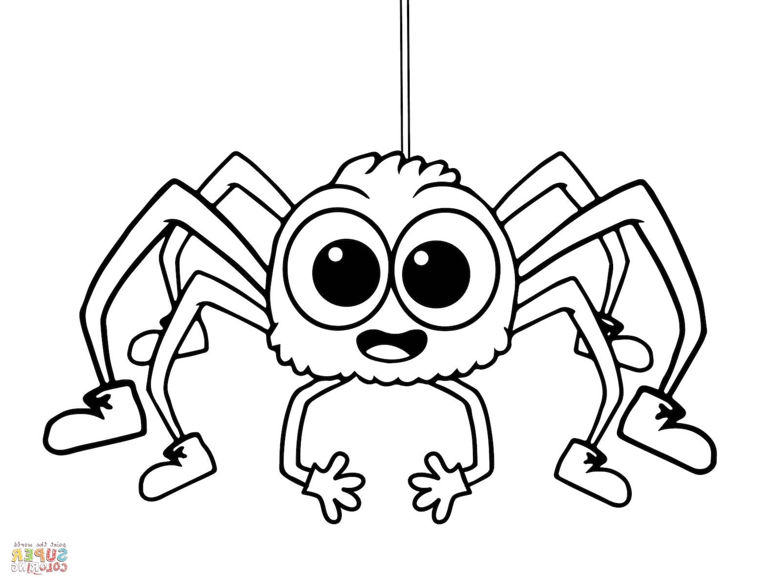 Spiders Coloring Pages 10 3880 With Spider Page 1600x1200 Spiders Coloring Pages 10 3880 With Spider Page