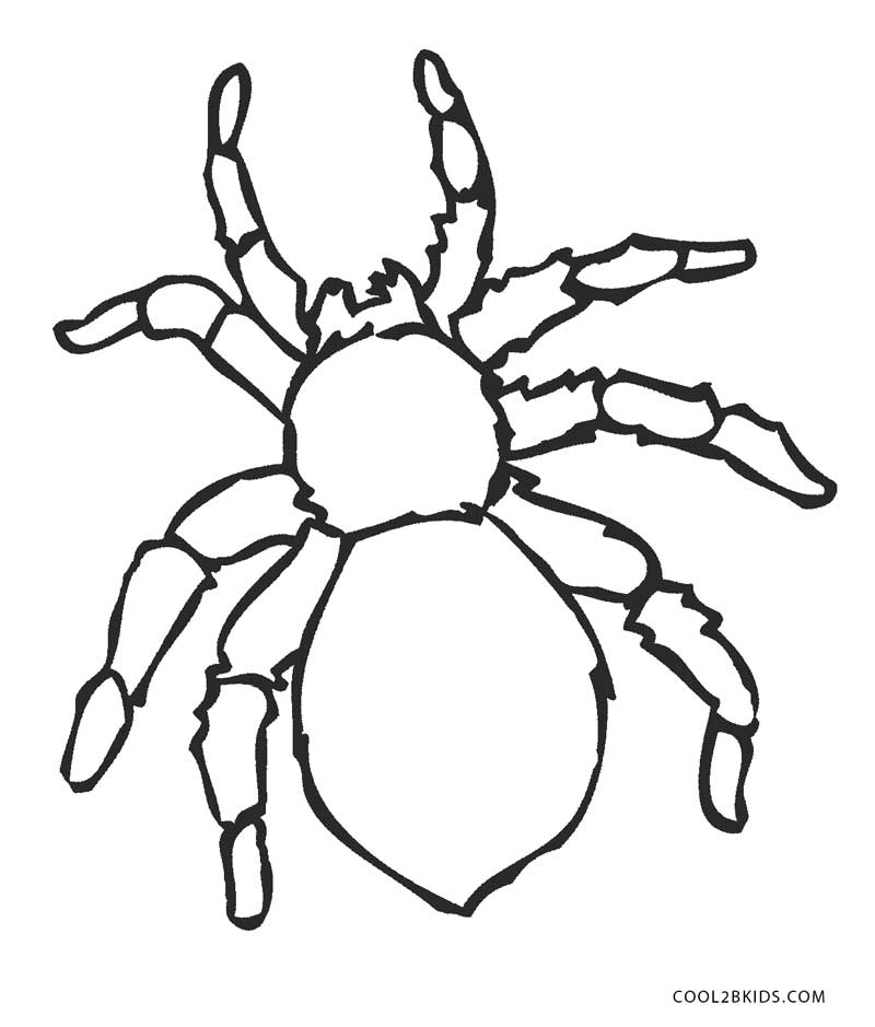 Free Printable Spider Coloring Pages For Kids Cool2bkids 800x939 Free Printable Spider Coloring Pages For Kids Cool2bkids
