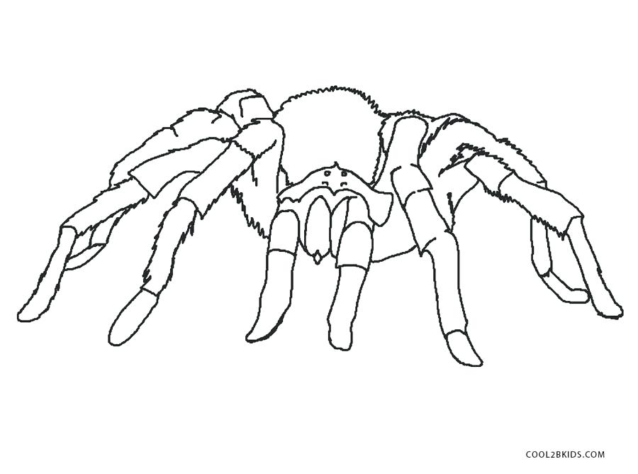 900x668 Happy Spider Coloring Page Cute Spider Spider Spider Coloring