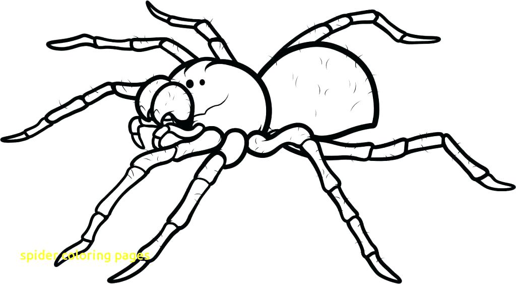1024x563 Printable Halloween Spider Coloring Pages Printable Coloring Free
