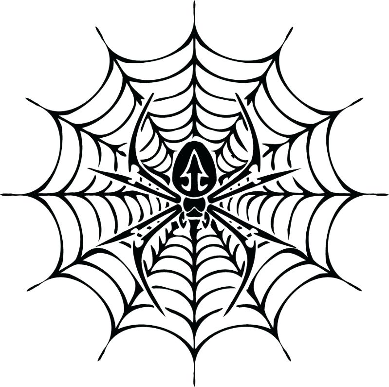 799x795 Printable Spider Web Coloring Pages For Kids Free Spider Web