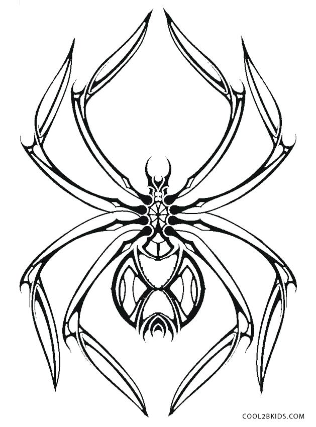 629x850 Spider Coloring Pages Free Printable Spider Coloring Page For Kids