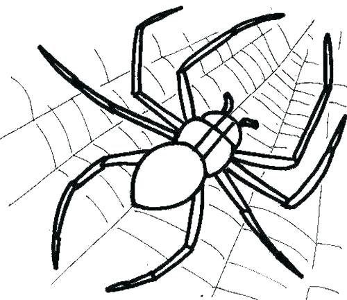 500x432 Spider Coloring Spider Web And Spider Coloring Page Miss Spider