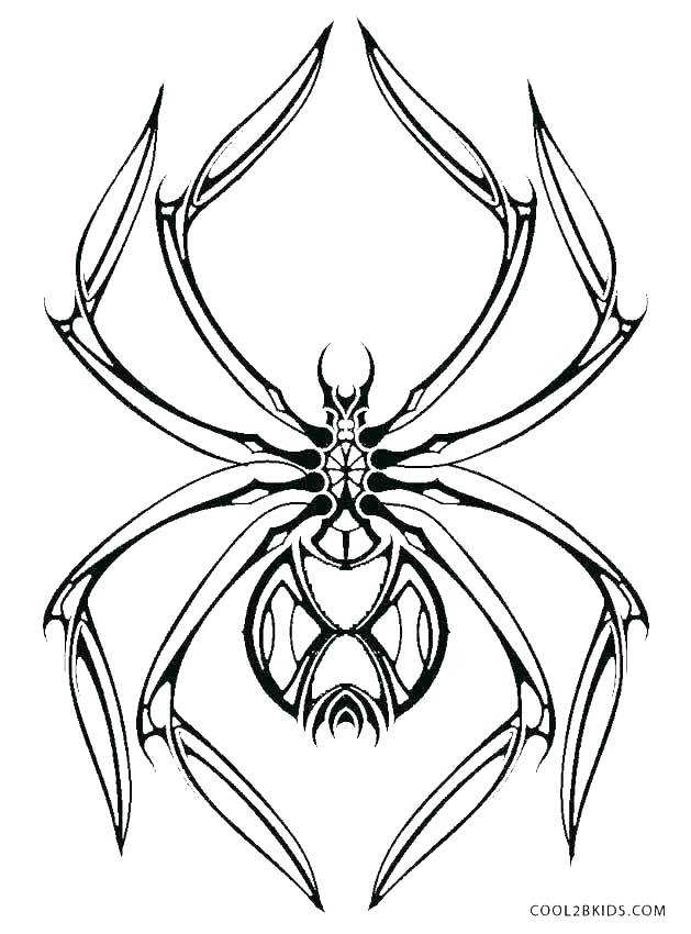 629x850 Spider Coloring Page Tarantula Spider Coloring Page Iron Spider