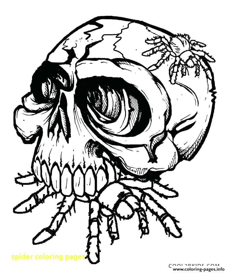 800x953 Spider Coloring Pages With Spider Coloring Pages Free Spider