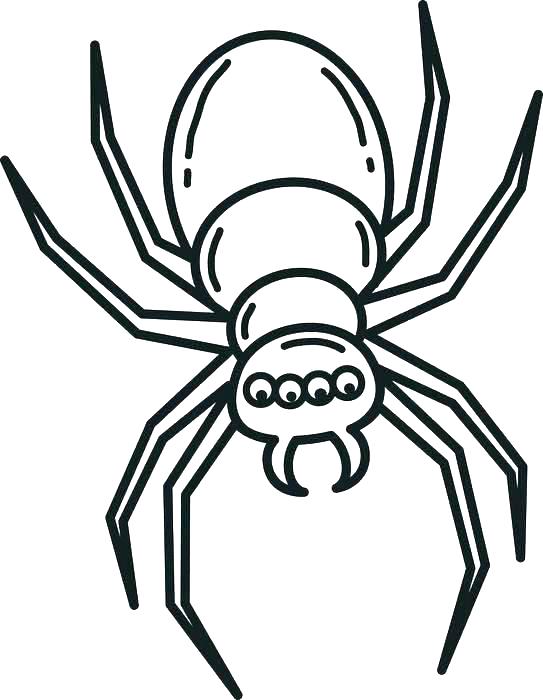 543x700 Miss Spider Coloring Pages Printable Kids Coloring Spider Web