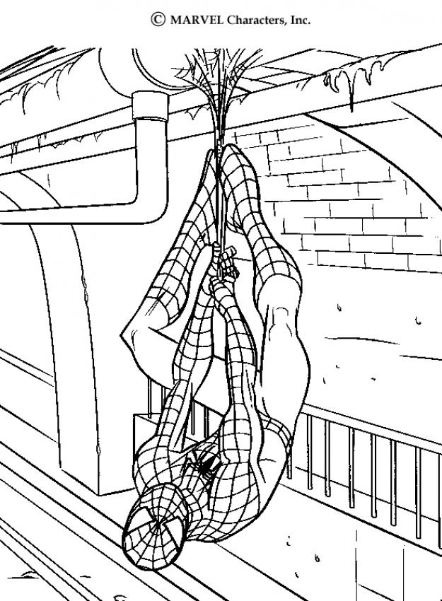 625x850 Spider Man Homecoming 2 Coloring Pages