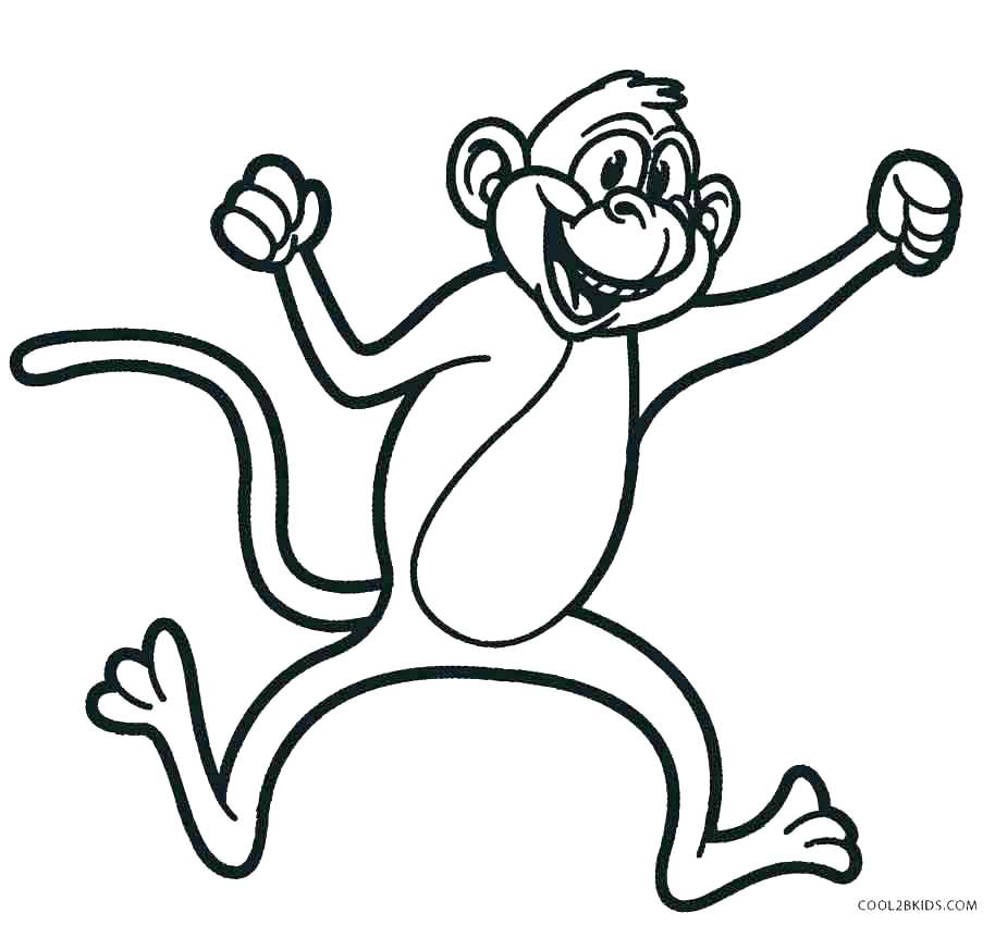 Spider Monkey Coloring Pages Monkey Coloring Book Plus Spider 914x850 Spider Monkey Coloring Pages Monkey Coloring Book Plus Spider