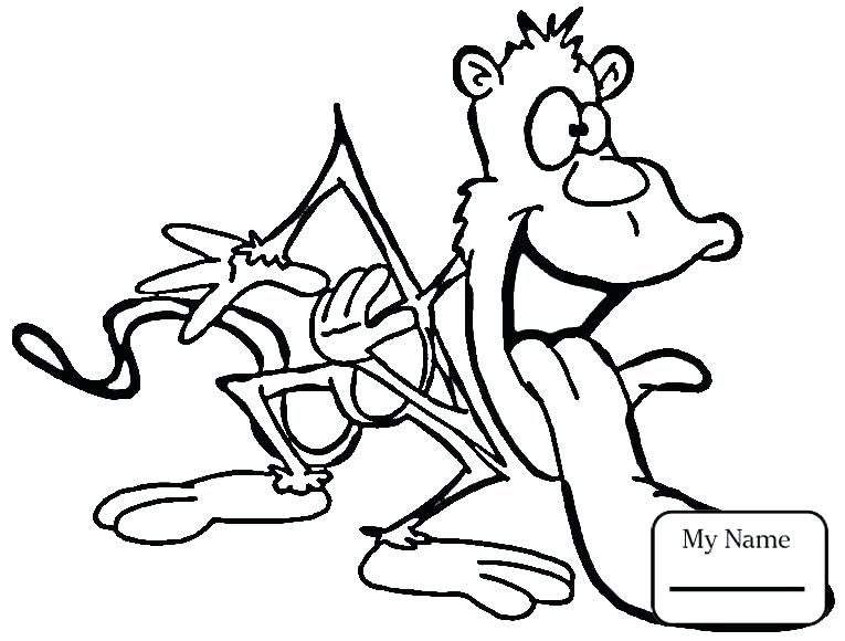 Cartoon Monkey Coloring Pages Spider Monkey Coloring Pages Cartoon 765x580 Cartoon Monkey Coloring Pages Spider Monkey Coloring Pages Cartoon