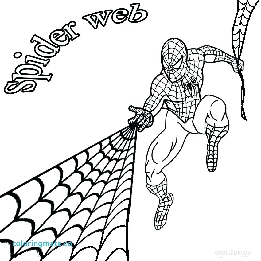 Spider Web Coloring Page at GetColorings.com | Free printable colorings ...