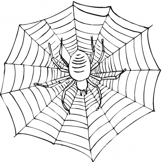 Spider Web Coloring Page at GetColorings.com | Free printable colorings ...