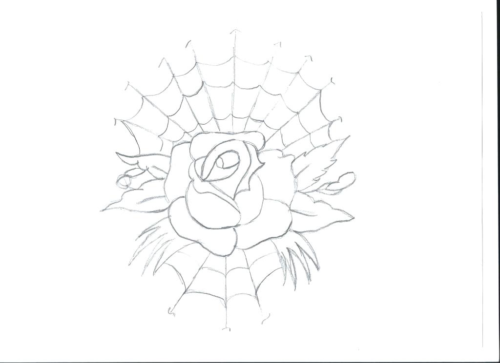 1024x745 Spider Web Coloring Page Spider Web Coloring Page Drawings Drawing