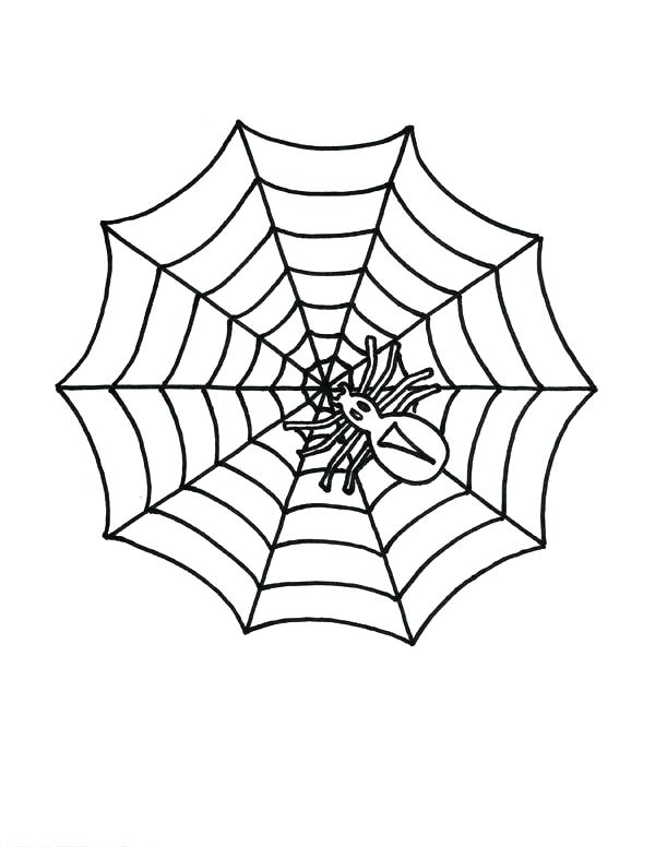 600x776 Spider Web Coloring Page Together With Little Spider On Spider Web