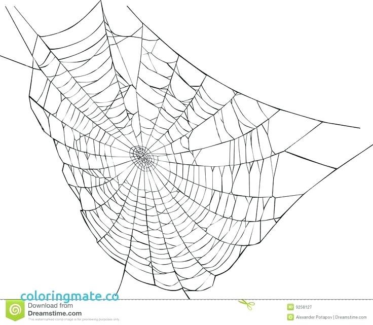 736x641 Spider Web Coloring Page With Spider Web Coloring Page Lovely Best