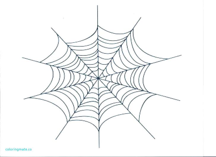 728x529 Spider Web Coloring Pages Medium Size Of Er Web Coloring Page Free