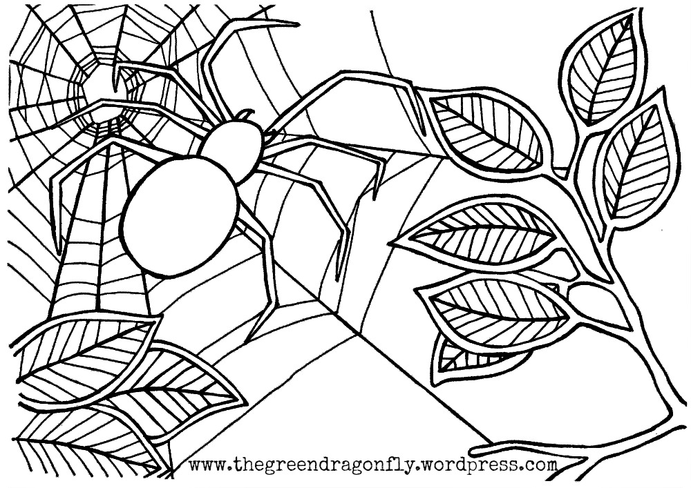 1000x707 Stylish Design Spider Web Coloring Pages To Print For Kids