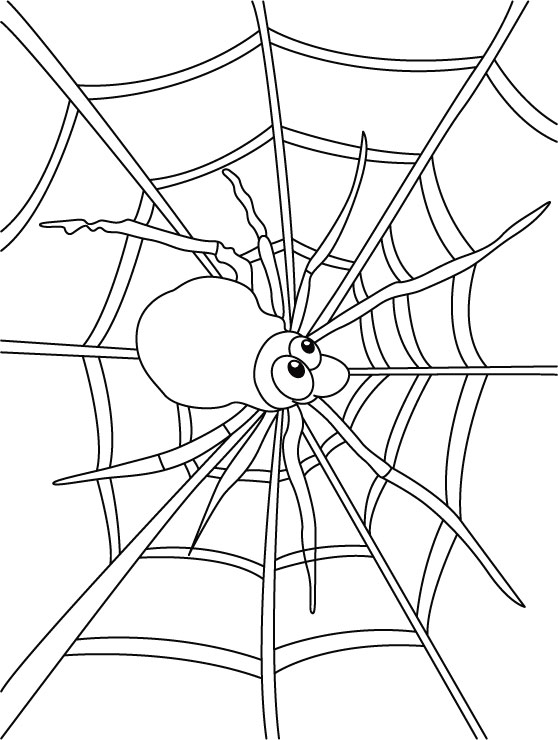 Pleasant Design Spider Web Coloring Pages To Print For Kids 558x740 Pleasant Design Spider Web Coloring Pages To Print For Kids
