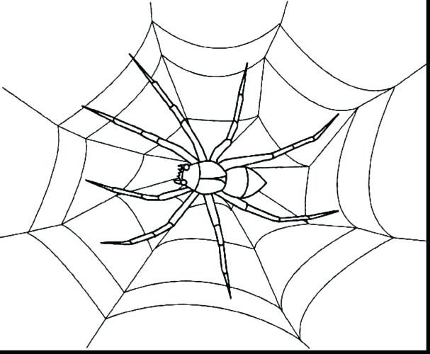 Coloring Page Spider Web Coloring Page Spider Web Coloring Pages 607x500 Coloring Page Spider Web Coloring Page Spider Web Coloring Pages