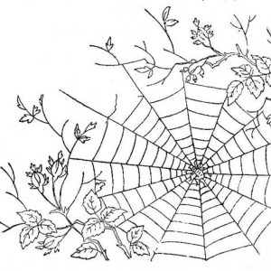 Spider Web Coloring Page 300x300 Spider Web Coloring Page