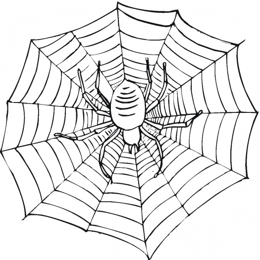 Spider Web Coloring Page 525x525 Spider Web Coloring Page