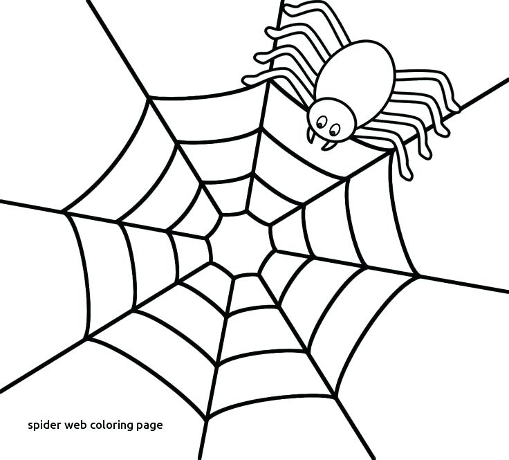 Spider Web Coloring Page Of Spider Web To Print Template 736x665 Spider Web Coloring Page Of Spider Web To Print Template