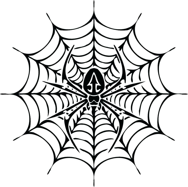 Spider Web Coloring Page With Spider Web Coloring Page Lovely Best 799x795 Spider Web Coloring Page With Spider Web Coloring Page Lovely Best