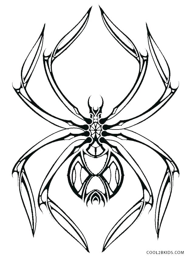 Free Spider Coloring Pages 629x850 Free Spider Coloring Pages
