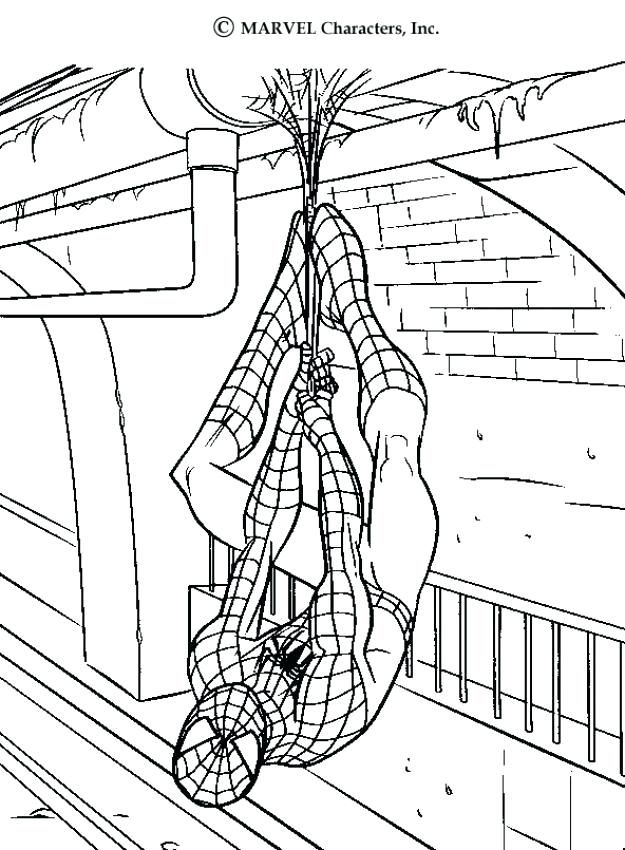 625x850 Spiderman Color Pages Saving A Cat S Webs Coloring Page Super
