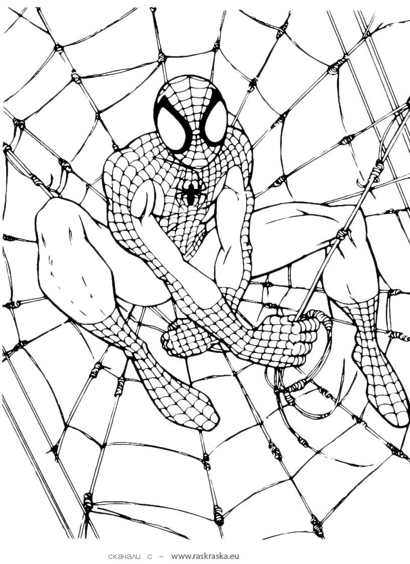816x1123 Free Printable Spiderman Coloring Pages For Kids