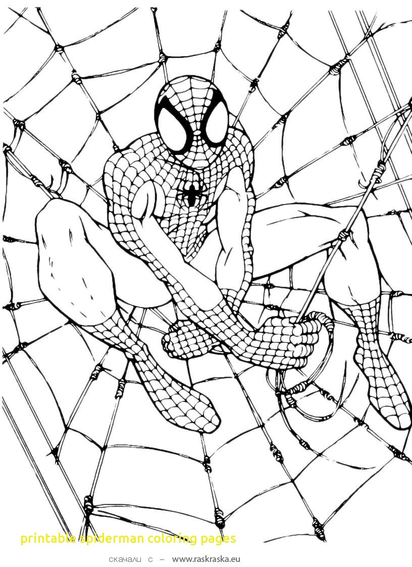 816x1123 Printable Spiderman Coloring Pages With Spiderman Coloring Pages