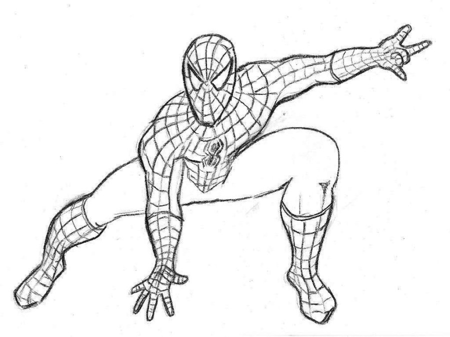 900x675 The Special Free Spiderman Coloring Book, Spiderman Pictures