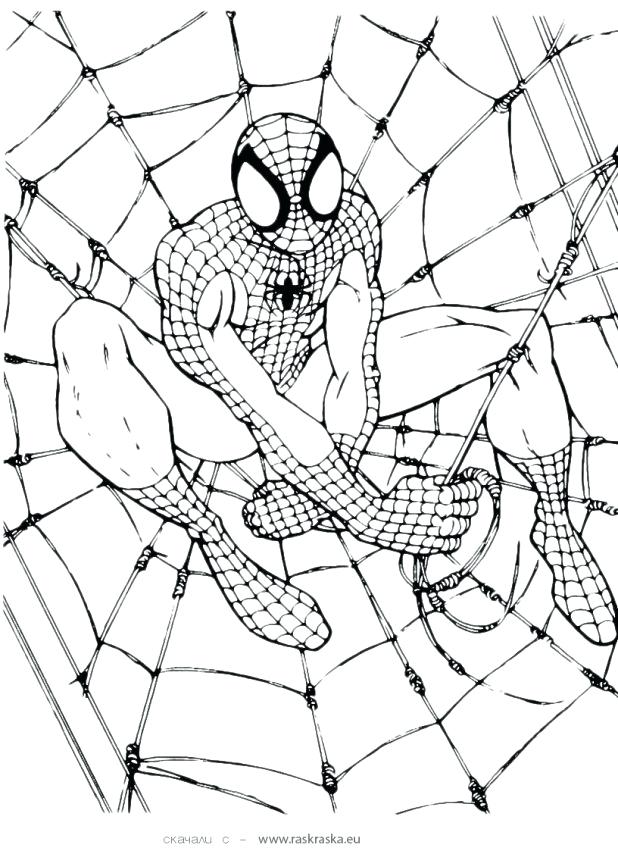 Printable Spiderman Coloring Pages Adult Printable Coloring Pages 618x851 Printable Spiderman Coloring Pages Adult Printable Coloring Pages