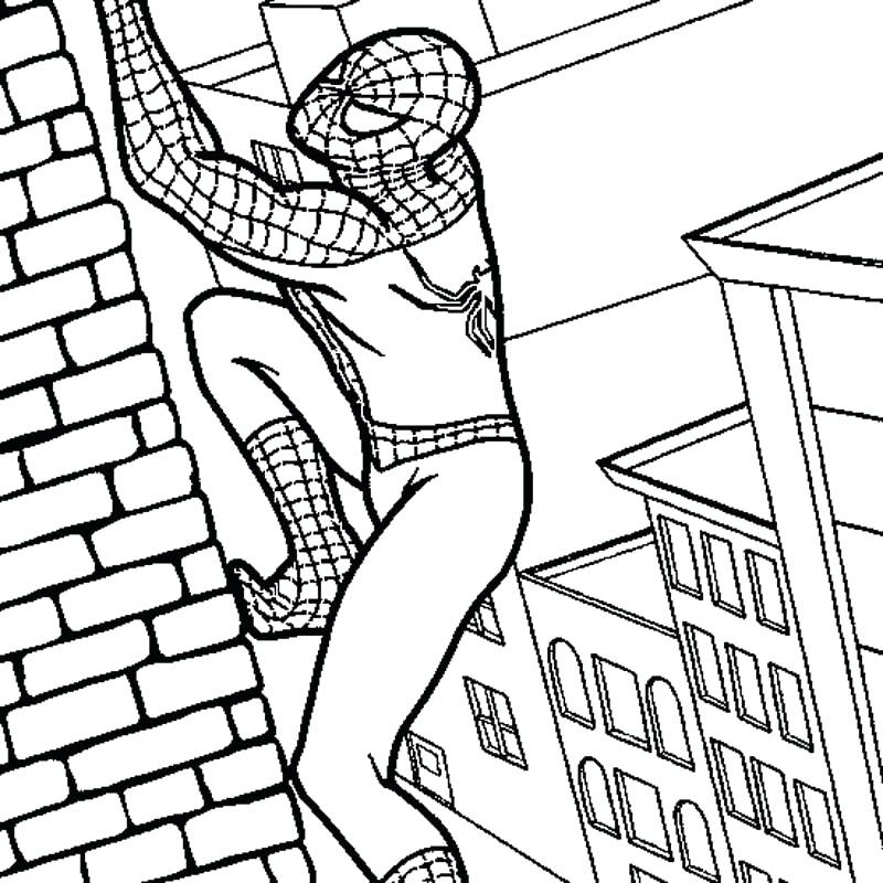 Spiderman Coloring Sheets Spiderman Coloring Pages Pdf Download 800x800 Spiderman Coloring Sheets Spiderman Coloring Pages Pdf Download