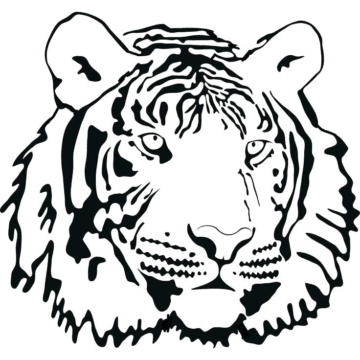 736x736 White Tiger Coloring Pages Cute Tiger Coloring Pages Tiger Face