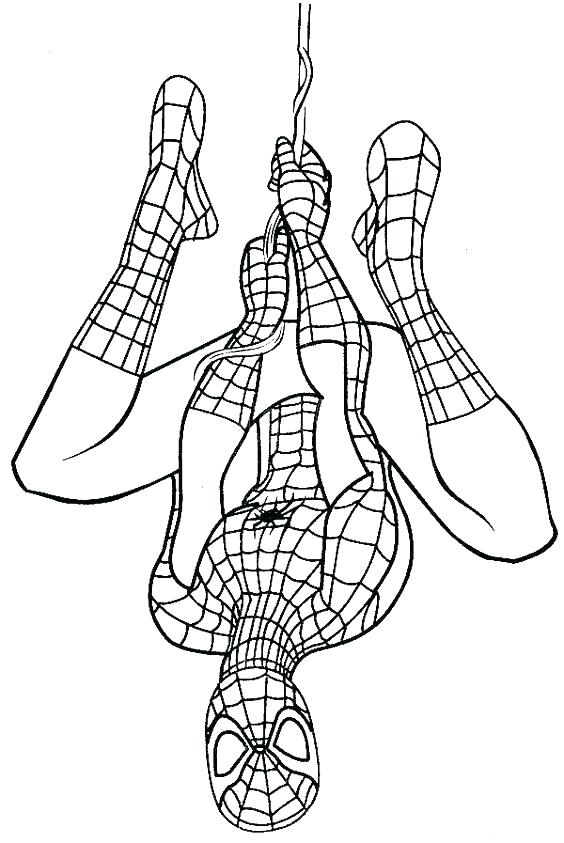 564x843 Spiderman Logo Coloring Pages Spider Man Color Page Logo Coloring