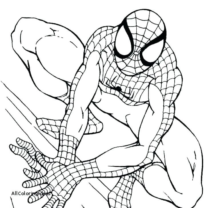 Spiderman Vs Venom Coloring Pages at GetColorings.com | Free printable ...